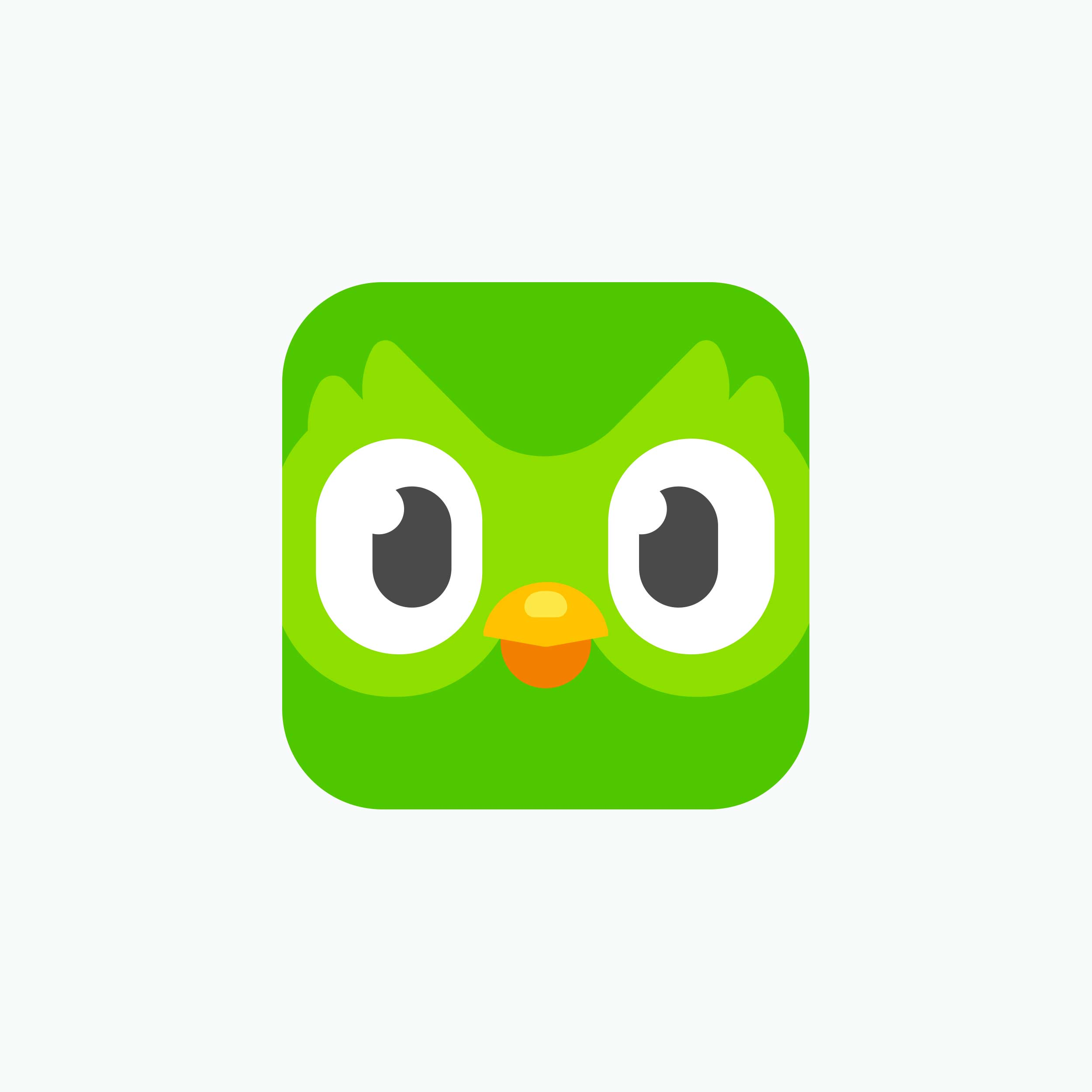 Duolingo Logo
